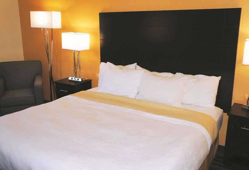 اتاق استاندارد با تخت دوبل برای معلولان, La Quinta Inn By Wyndham Lincoln