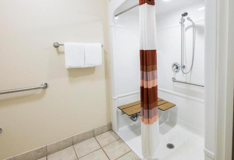 اتاق استاندارد با تخت بزرگ برای معلولان, Red Roof Inn Detroit  Warren