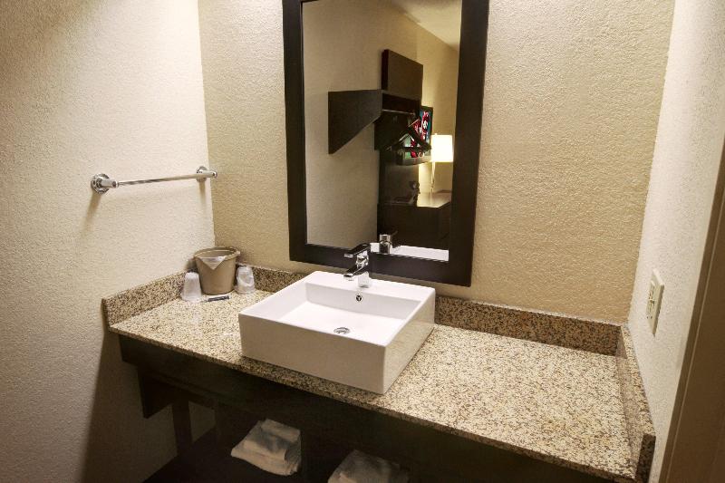 اتاق استاندارد با تخت بزرگ, American Inn & Suites Bishop Airport Flint