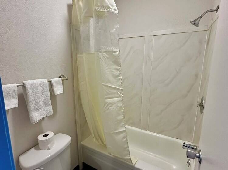 اتاق لوکس, American Inn & Suites Bishop Airport Flint