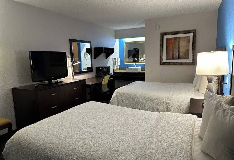 اتاق لوکس, American Inn & Suites Bishop Airport Flint