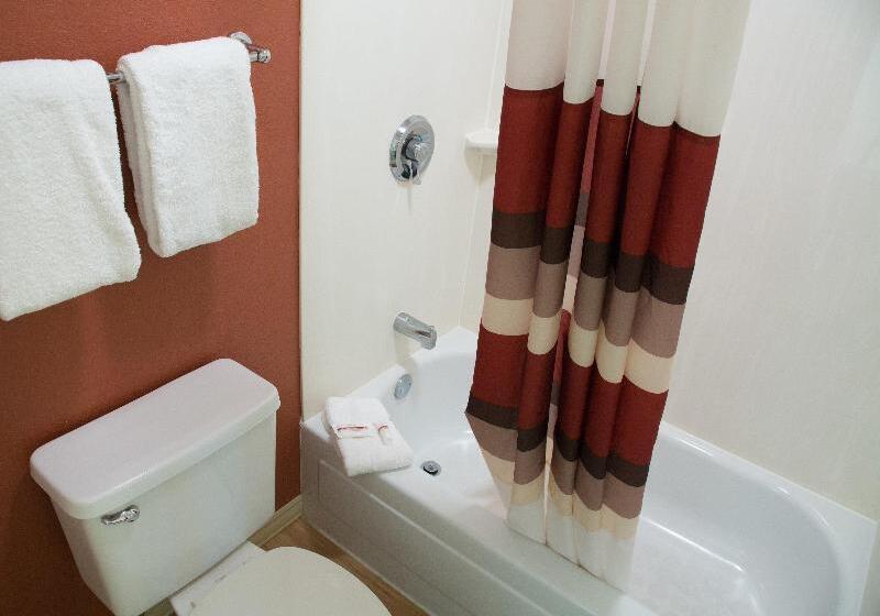 اتاق استاندارد با تخت بزرگ, Red Roof Inn Huntington