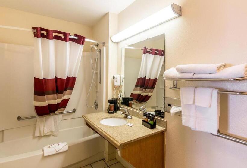 Standard Room Adapted for people with reduced mobility, Red Roof Inn Wichita Falls