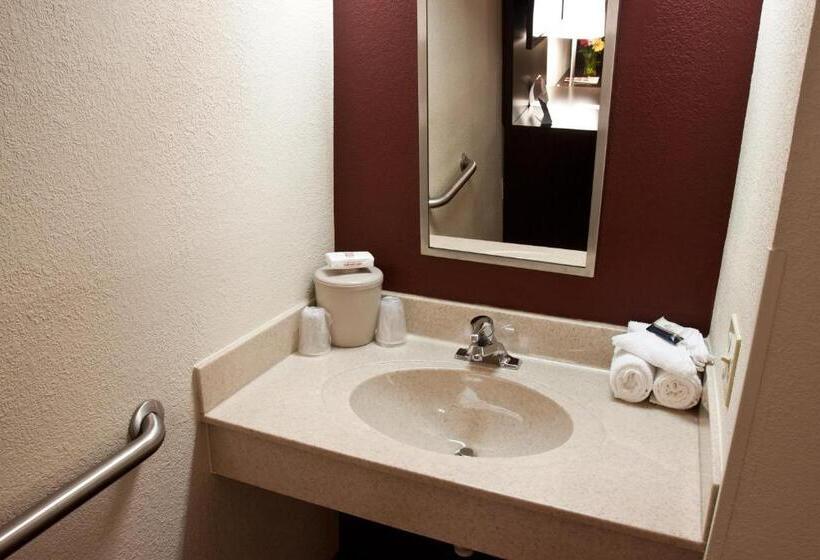 اتاق دلوکس مخصوص معلولین, Red Roof Inn Plus+ Columbus   Dublin