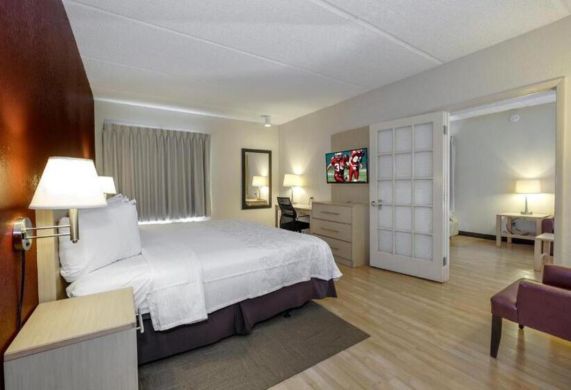 سوئیت با تخت بزرگ, Red Roof Inn Plus + Gainesville