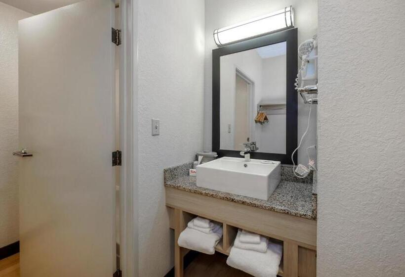 اتاق سوپریور با تخت بزرگ, Red Roof Inn Plus + Gainesville