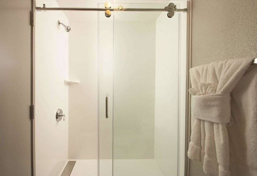 اتاق دلوکس مخصوص معلولین, La Quinta By Wyndham Atlanta Airport North
