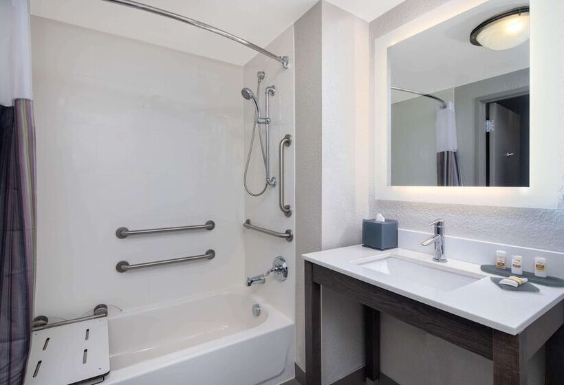 اتاق دلوکس مخصوص معلولین, La Quinta By Wyndham Atlanta Airport North