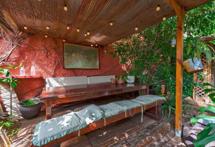 اتاق استاندارد با چشم‌انداز باغ, Casa Luminosa