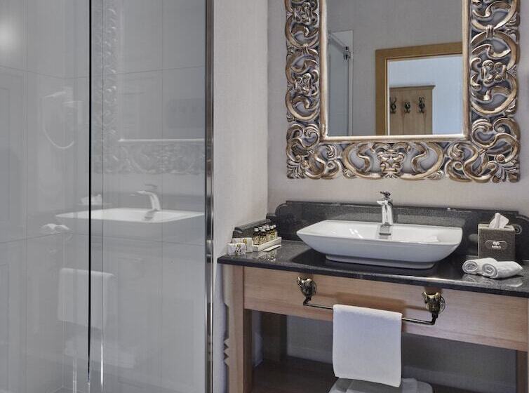 سوییت, Aries Hotel & Spa Wisła