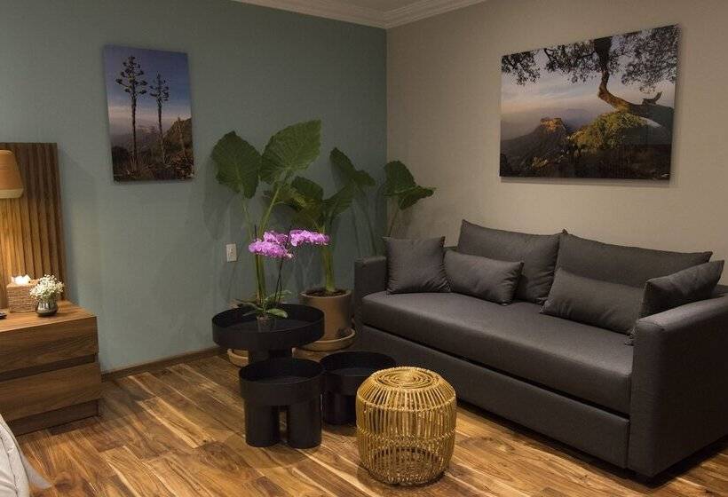 اتاق لوکس, Casa Santiago Hotel Boutique