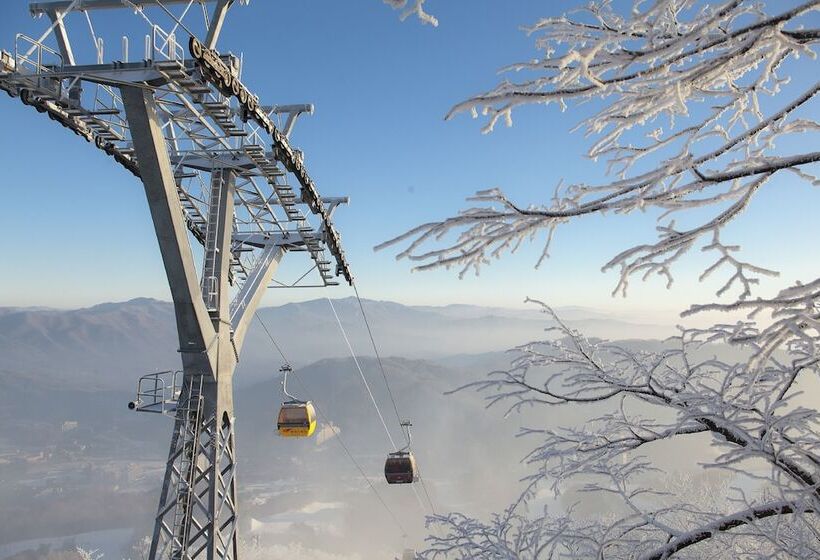 سوییت, Phoenix Hotel Pyeongchang