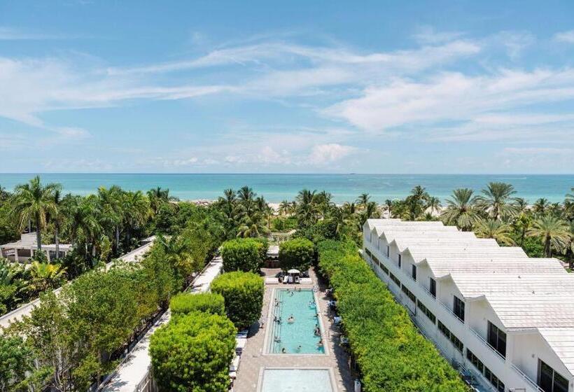 Standard Room King Size Bed, Nautilus Sonesta Miami Beach