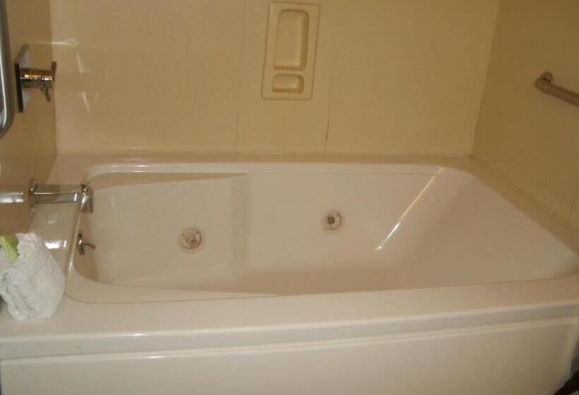 اتاق استاندارد با تخت بزرگ, Rosedale Inn
