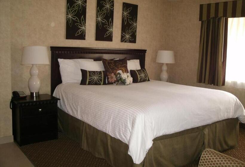 اتاق استاندارد با تخت بزرگ برای معلولان, Rosedale Inn