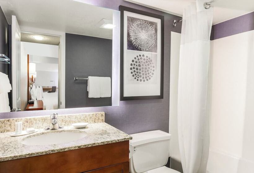 2 Bedroom Suite, Residence Inn Chicago Deerfield