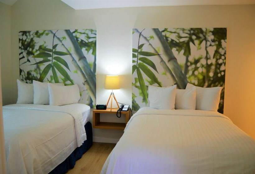 Suite Ejecutiva, Doral Inn & Suites Miami Airport West