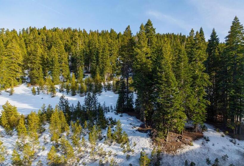 اتاق دلوکس با تخت کینگ و چشم‌انداز, The Everline Resort & Spa Lake Tahoe
