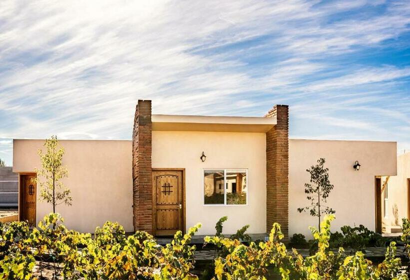 اتاق استاندارد با تخت بزرگ برای معلولان, Ojo Azul Resort