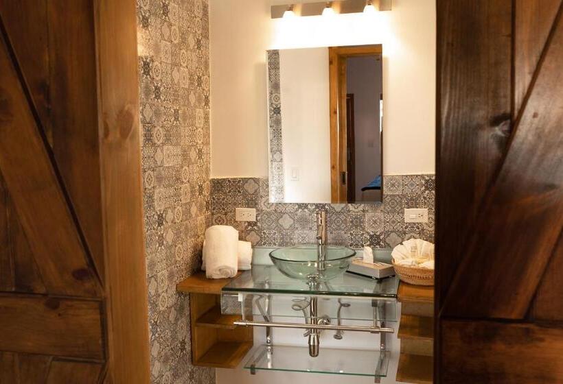 اتاق استاندارد با تخت بزرگ برای معلولان, Ojo Azul Resort