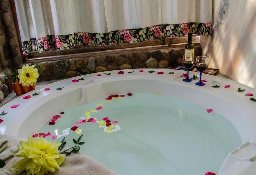 استودیوی استاندارد, Pousada Bolo Húngaro