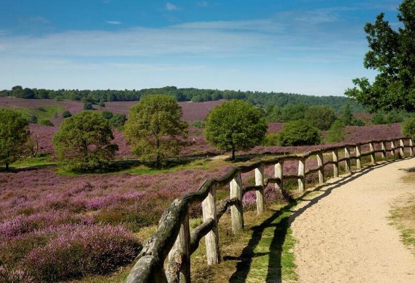 سوئیت جونیور با چشم‌انداز باغ, Boutique Hotel Beekhuizen