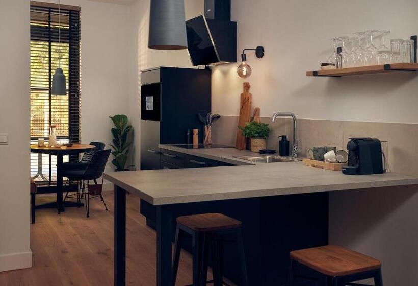 آپارتمان دوبلکس 1 خوابه, Boutique Hotel Beekhuizen