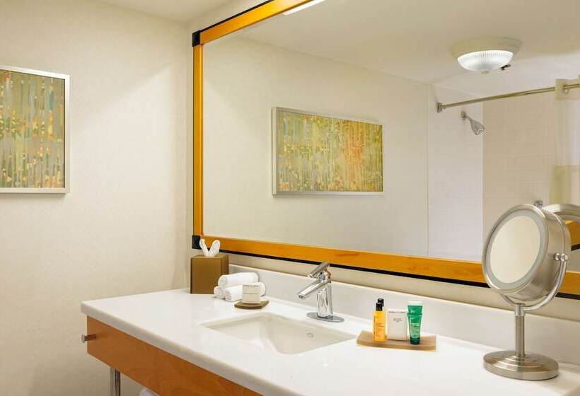 اتاق لوکس با تخت بزرگ, Hilton San Francisco Airport Bayfront