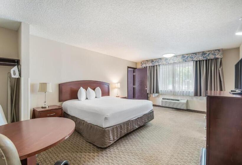 اتاق استاندارد با تخت بزرگ, Red Lion Inn & Suites Vancouver