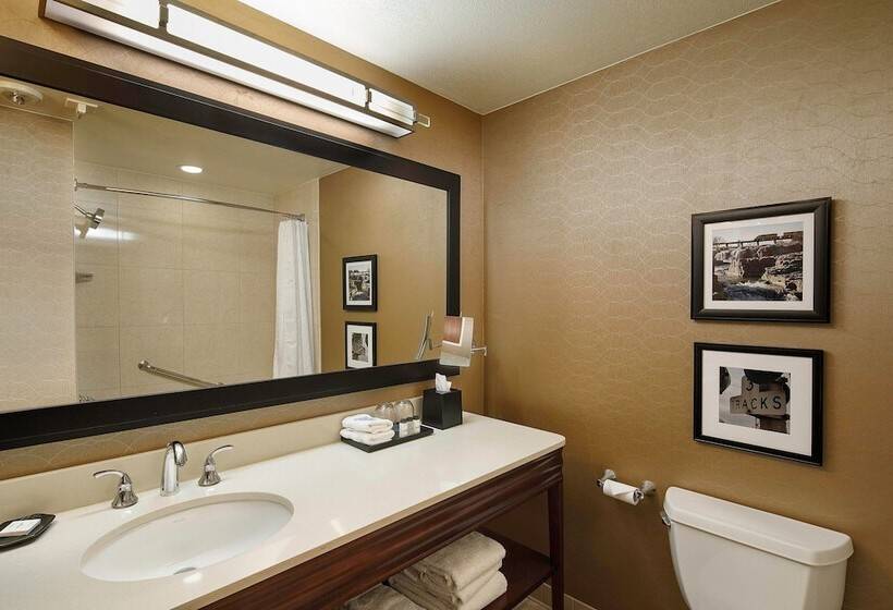 اتاق اجرایی, Sheraton Sioux Falls Hotel & Convention Center