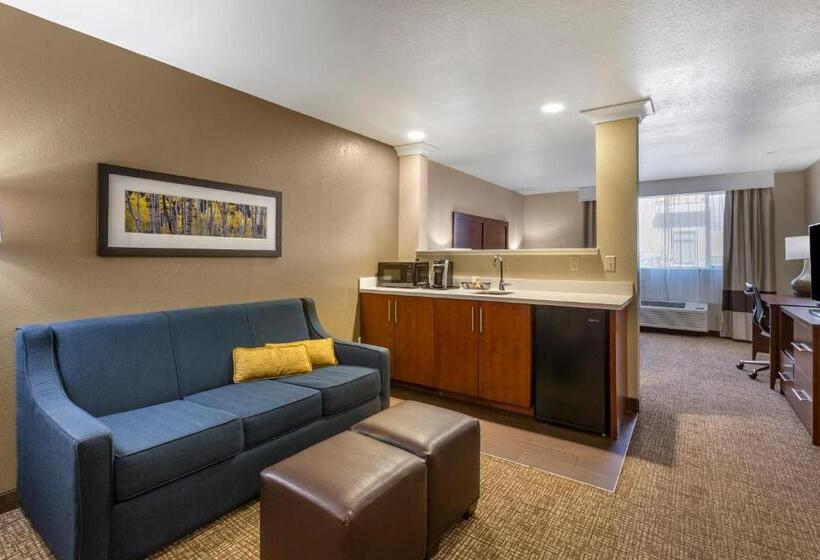 سوئیت با تخت بزرگ, Comfort Inn & Suites Coeur D Alene