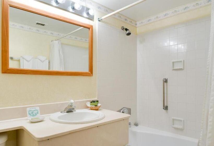 اتاق استاندارد با تخت دوبل, Saga Motor Hotel Pasadena