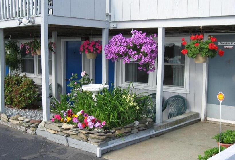 اتاق اکونومی, Sea Whale Motel