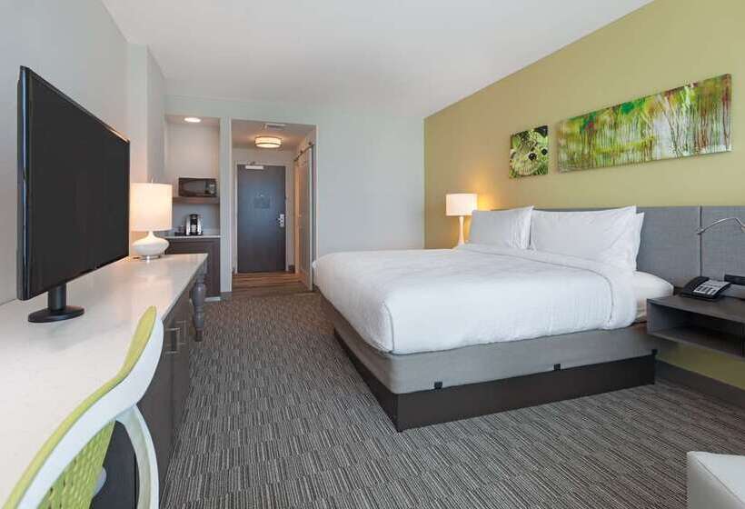 اتاق استاندارد با تخت بزرگ, The Scottsdale Resort & Spa, Curio Collection By Hilton