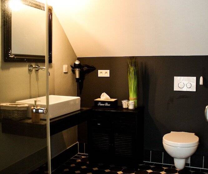 اتاق استاندارد با سرویس بهداشتی مشترک, A Bascule Bed And Breakfast Maastricht