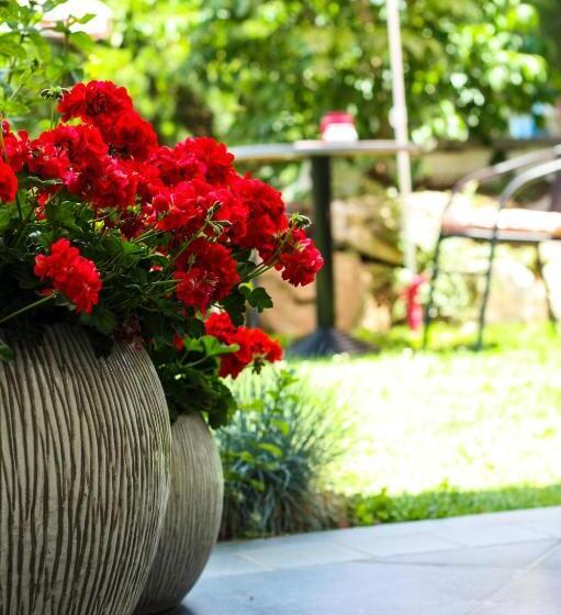 اتاق استاندارد با سرویس بهداشتی مشترک, A Bascule Bed And Breakfast Maastricht
