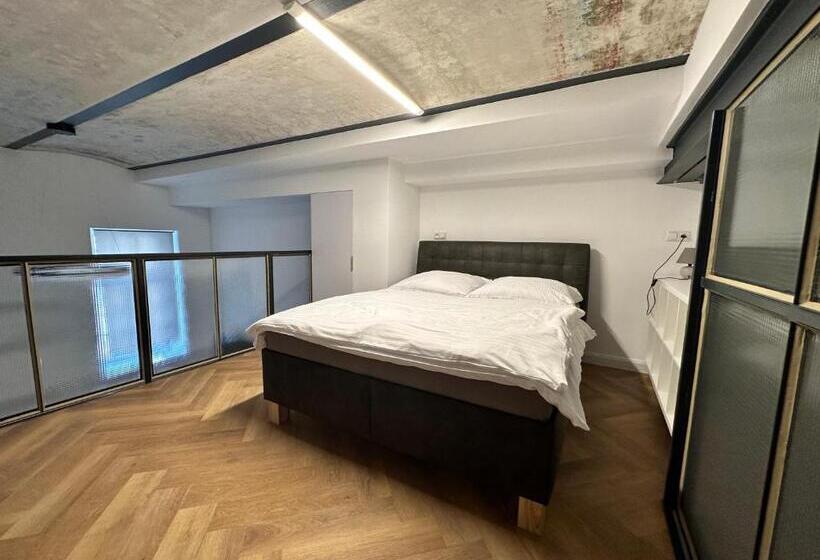 اتاق دوبلکس, Entrez Apartments 4   City Centre