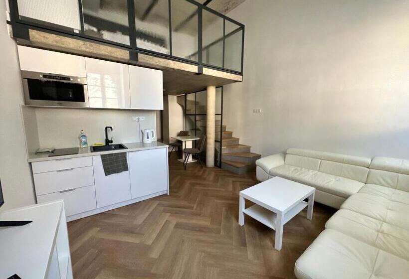 اتاق دوبلکس, Entrez Apartments 4   City Centre