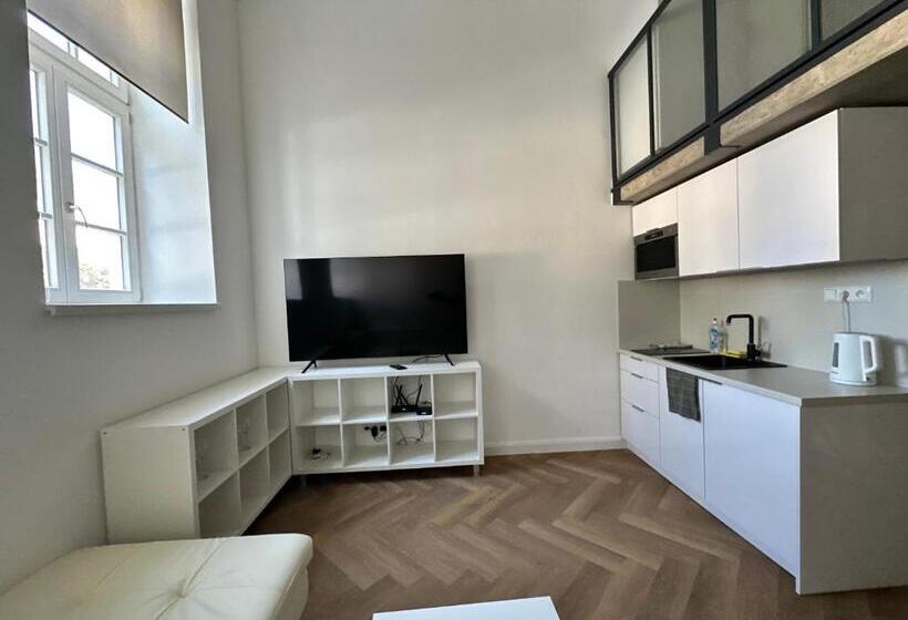 اتاق دوبلکس, Entrez Apartments 4   City Centre
