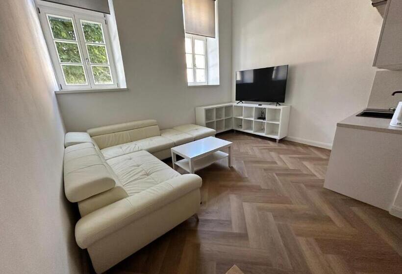 اتاق دوبلکس, Entrez Apartments 4   City Centre