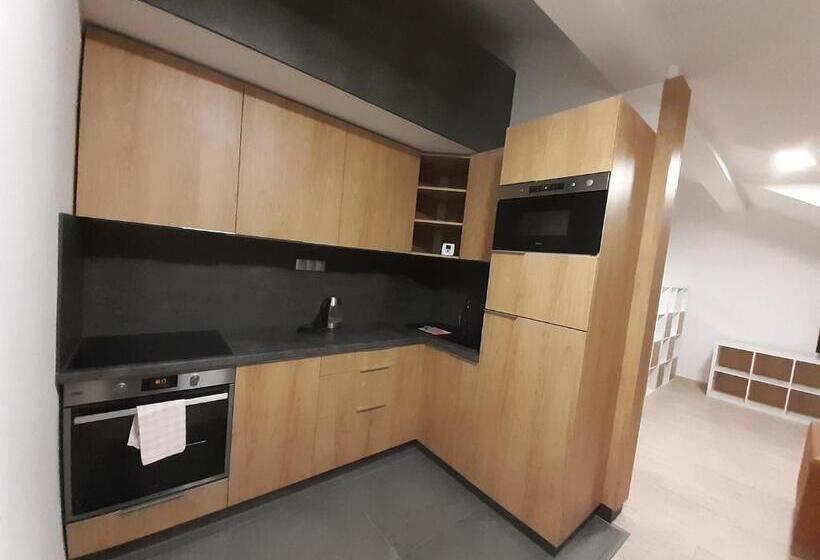 استودیوی استاندارد, Entrez Apartments 4   City Centre