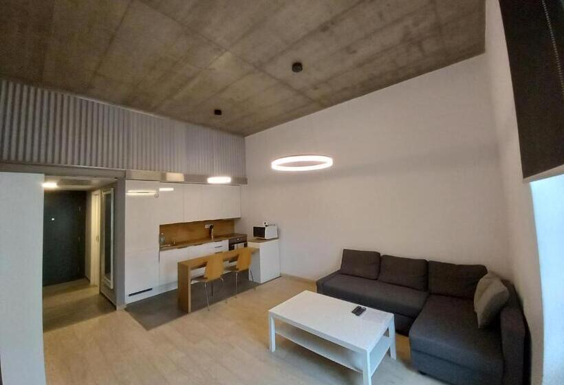 اتاق استاندارد, Entrez Apartments 4   City Centre