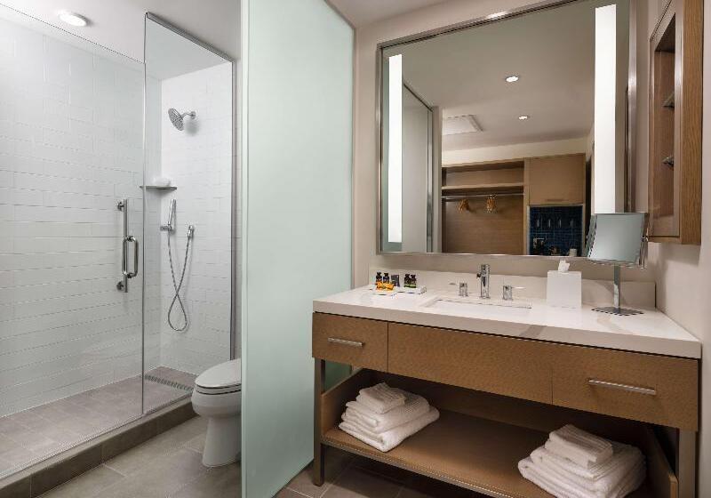 اتاق استاندارد برای معلولان, Canopy By Hilton Dallas Frisco Station, Tx