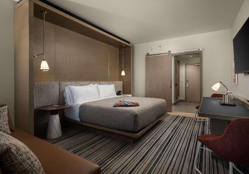 اتاق استاندارد برای معلولان, Canopy By Hilton Dallas Frisco Station, Tx