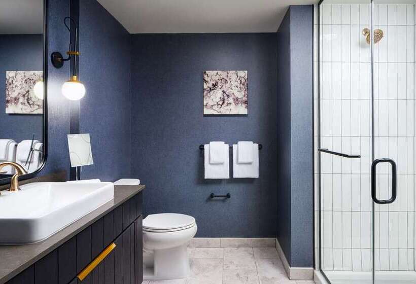 اتاق استاندارد با تخت بزرگ, Canopy By Hilton Dallas Frisco Station, Tx