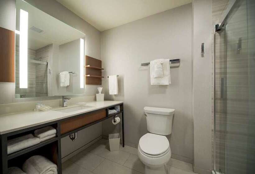 اتاق پرمیوم, Canopy By Hilton Dallas Frisco Station, Tx