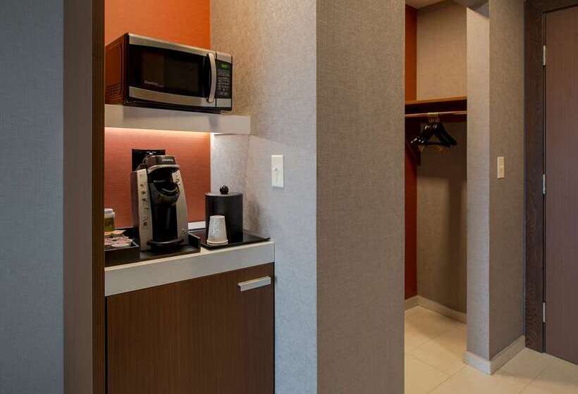 اتاق پرمیوم, Canopy By Hilton Dallas Frisco Station, Tx
