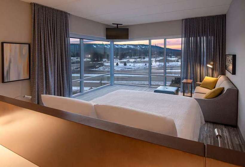 اتاق پرمیوم, Canopy By Hilton Dallas Frisco Station, Tx