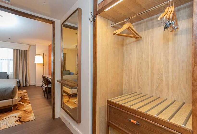 اتاق پرمیوم, Canopy By Hilton Dallas Frisco Station, Tx