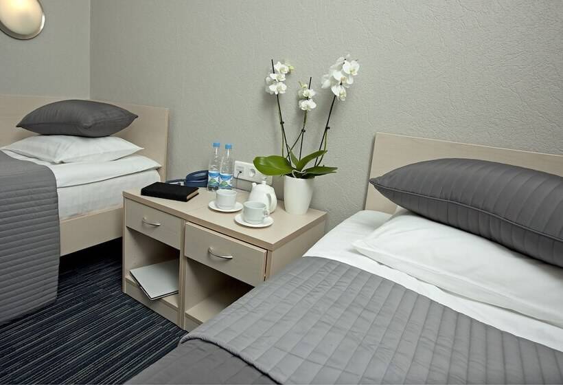 اتاق استاندارد, Comfort Hotel Air Express Sheremetievo